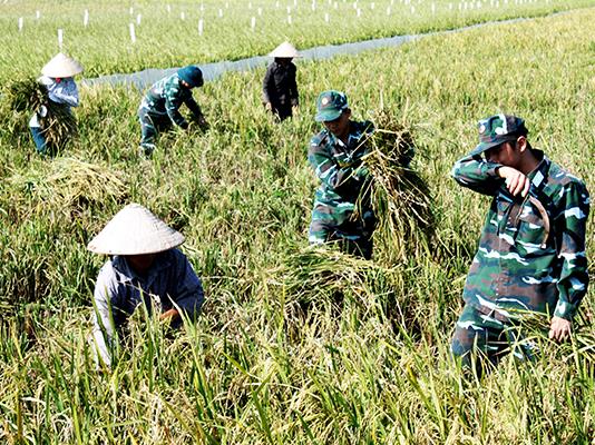 phat-huy-vai-tro-xung-kich-sang-tao-cua-tuoi-tre-quan-chung-pk-kq-trong-su-nghiep-bao-ve-vung-chac-bau-troi-to-quoc-viet-nam-xhcn