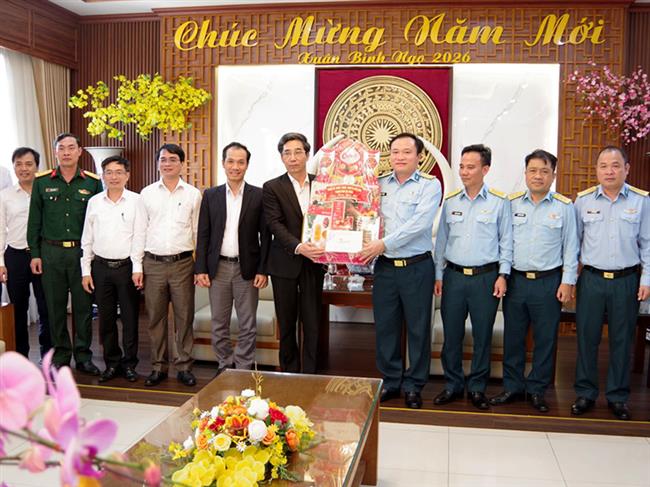 pho-chu-tich-ubnd-tp-da-nang-tham-va-chuc-tet-su-doan-khong-quan-372