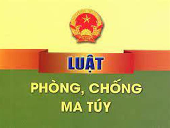 quan-chung-phong-khong-khong-quan-phat-dong-tham-gia-cuoc-thi-tim-hieu-luat-phong-chong-ma-tuy