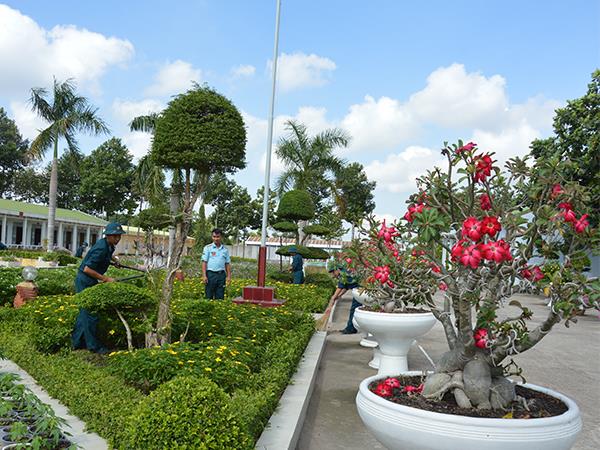 sac-hoa-tren-tran-dia-canh-troi-phuong-nam