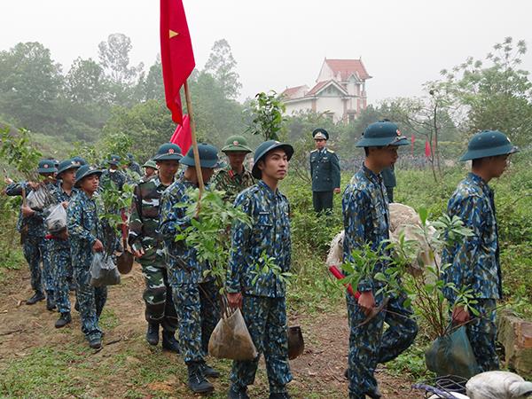 su-doan-371-tham-gia-trong-cay-bao-ve-rung-bao-ve-moi-truong
