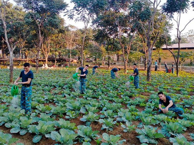 tieu-doan-31-bao-dam-tot-doi-song-cho-chien-si-moi