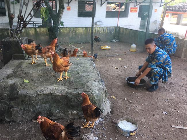trung-doan-240-dot-pha-nang-cao-chat-luong-bao-dam-hau-can
