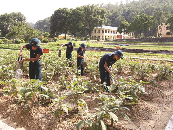 trung-doan-295-day-manh-tang-gia-san-xuat-cai-thien-doi-song-bo-doi