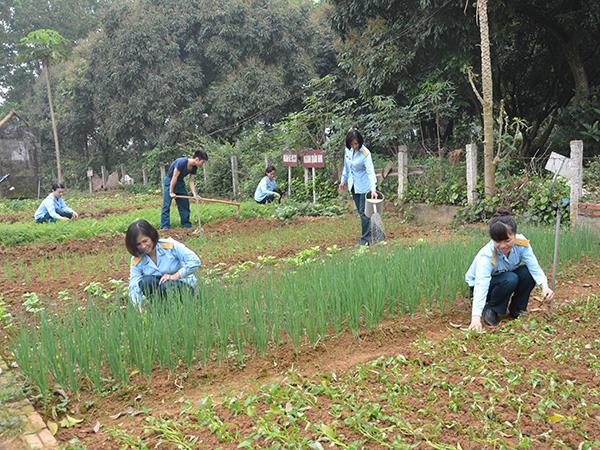 trung-doan-916-bao-dam-tot-che-do-nuoi-duong-bo-doi