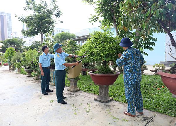 xay-dung-doanh-trai-chinh-quy-xanh-sach-dep