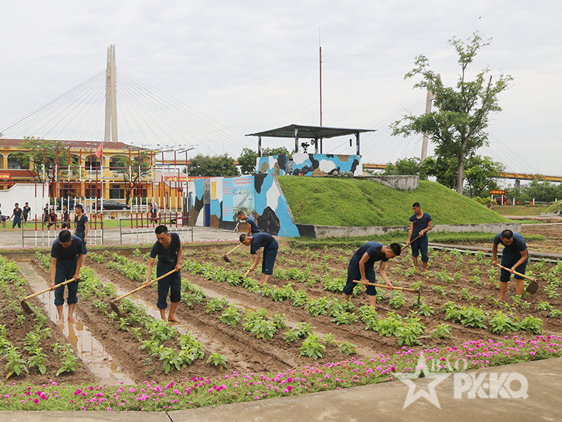 Tăng gia sản xuất giỏi ở Đại đội 171